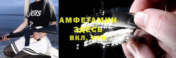 прущие грибы Вязники