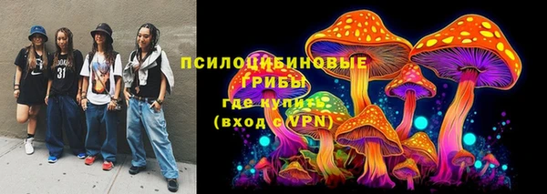 прущие грибы Вязники